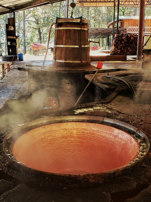 Fermantación en Don Mateo de la Sierra