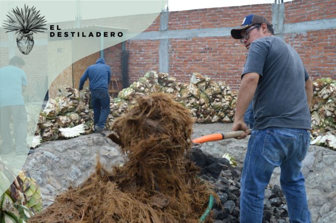 Maguey molido y listo para la tina de fermetación