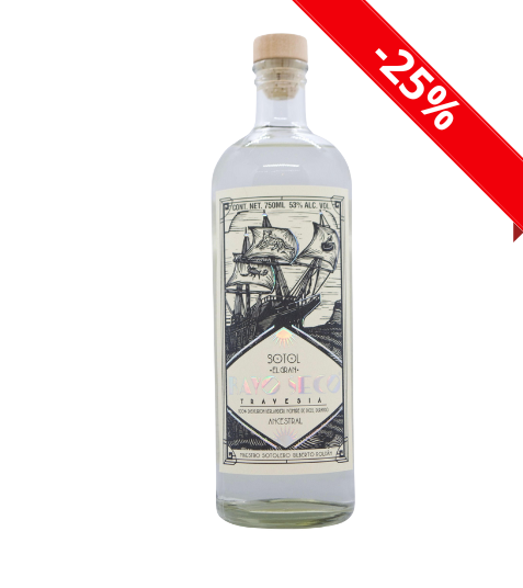 Sotol Rayo Seco Berlandieri Joven