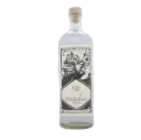 Sotol Rayo Seco Berlandieri Joven