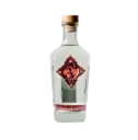 Mezcal Castamar Salmiana Joven