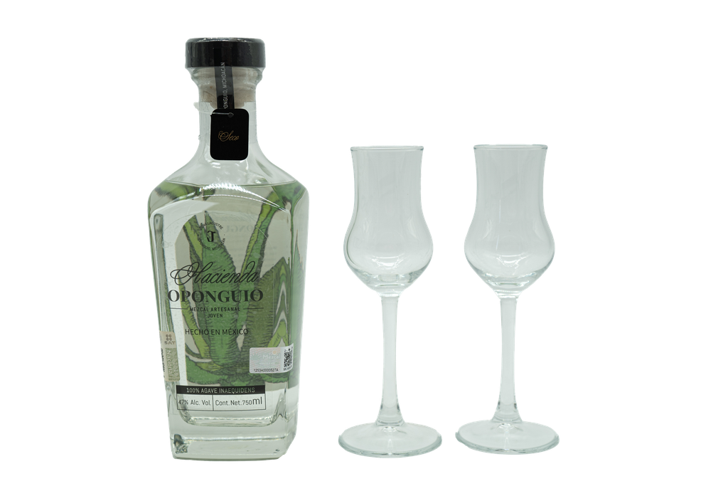 Regalo Viejo Barbón Ancestral Ensamble Joven (copia)