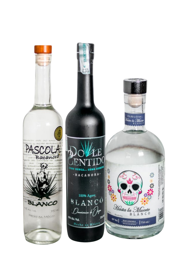 Regalo Colección Bacanora